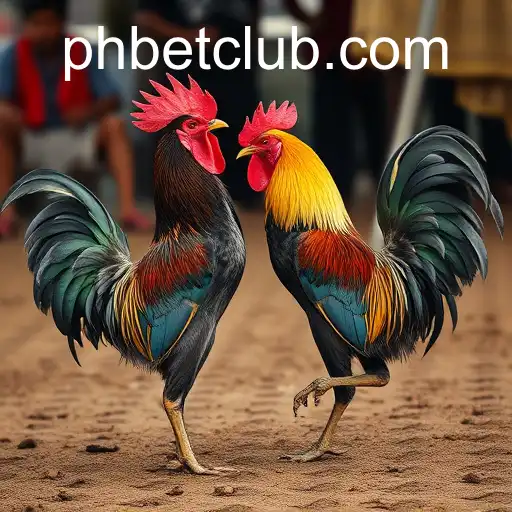 Exploring Sabong Games: An Insight into the 